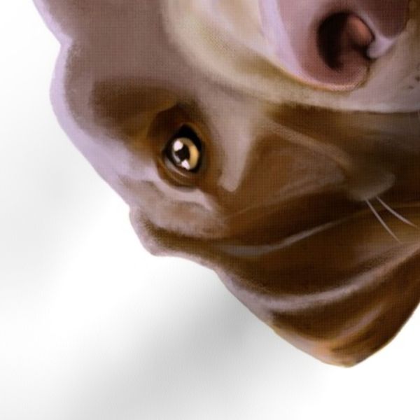 Chocolate Lab Cartoon Caricature