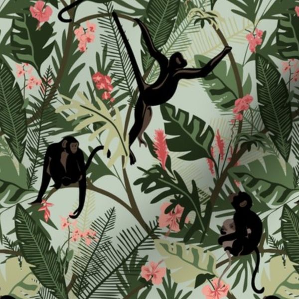 Monkeys - Aqua - Small