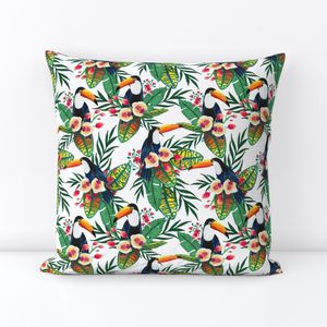 Toucans. Tropical birds
